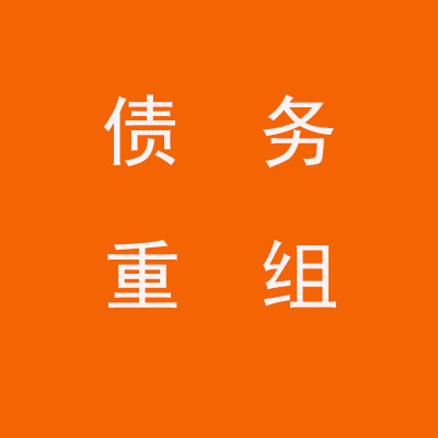 靖宇个人债务重组优化